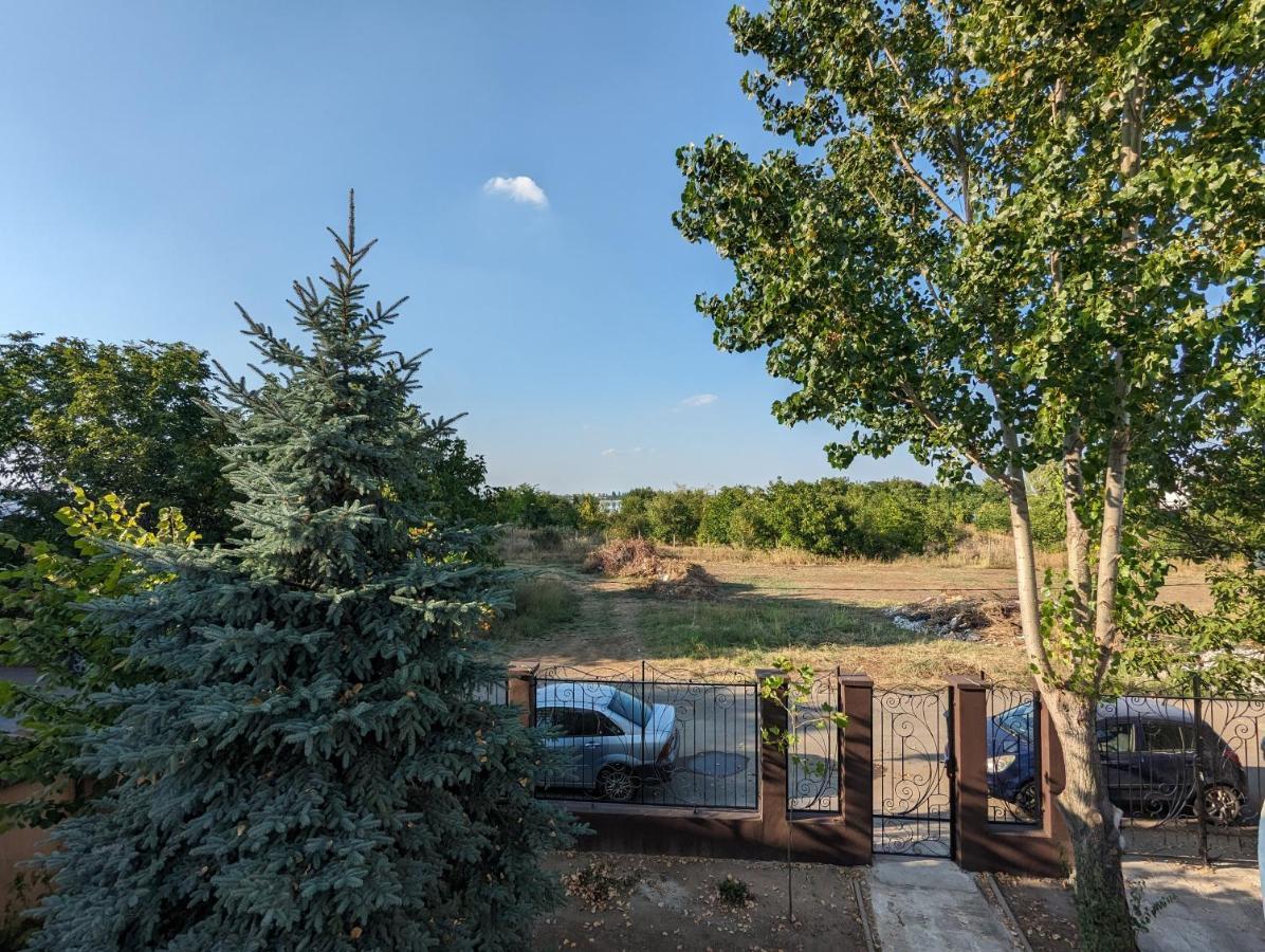 Horizon View Villa - Lakefront Terrace Suite 부쿠레슈티 외부 사진